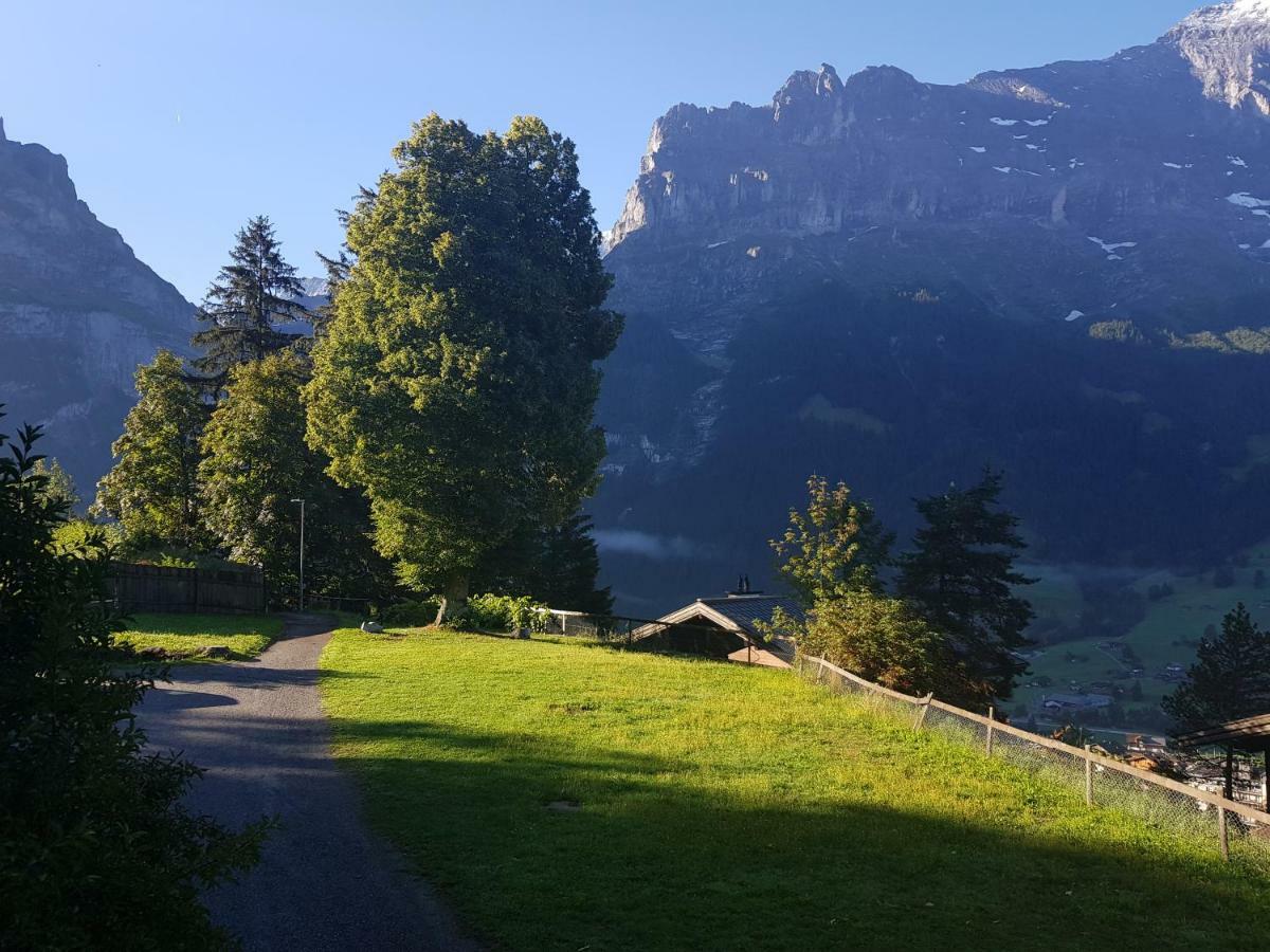 Homestay Eiger View *