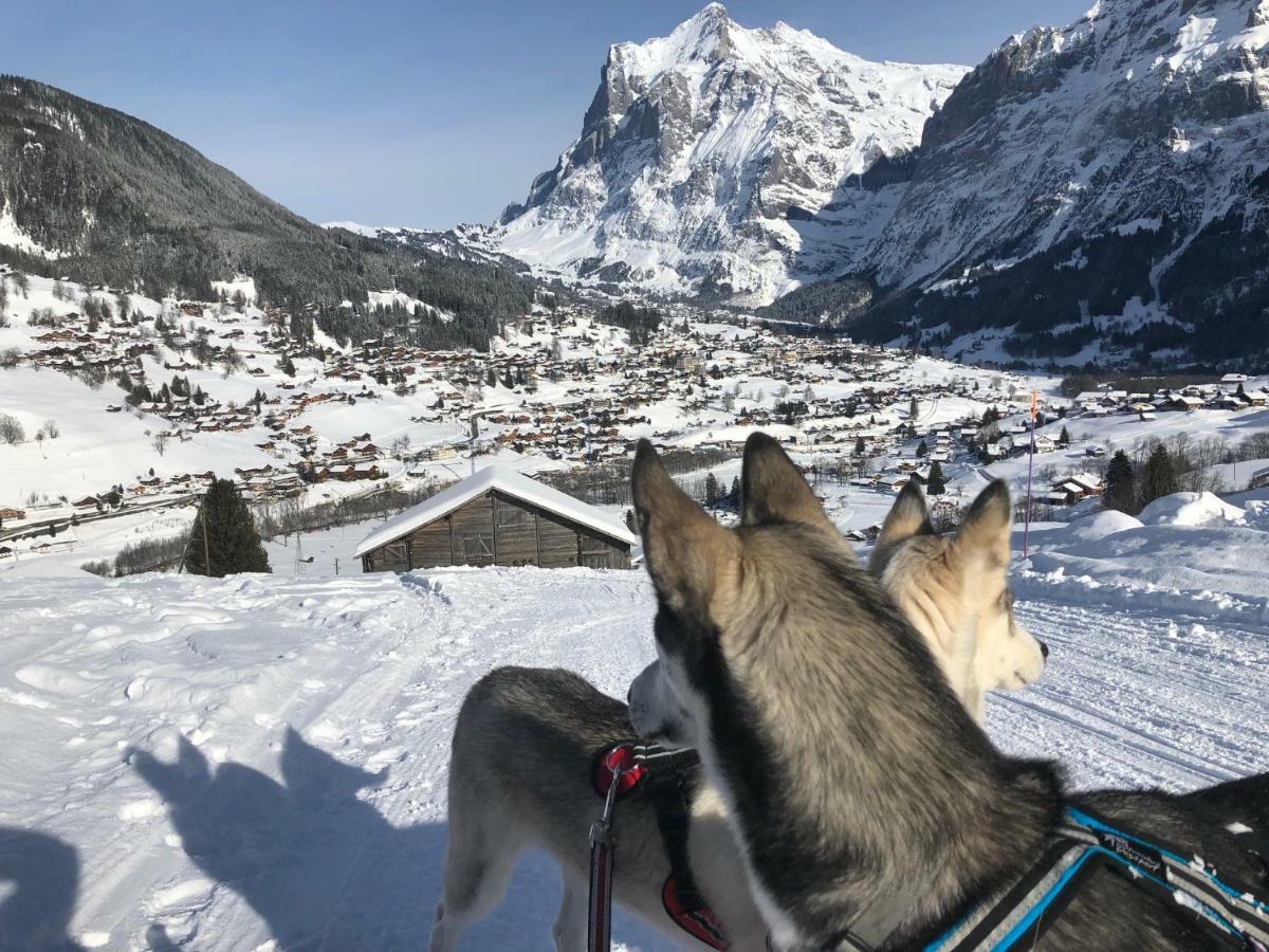 Carve - Eiger, Moench And Jungfrau * Grindelwald
