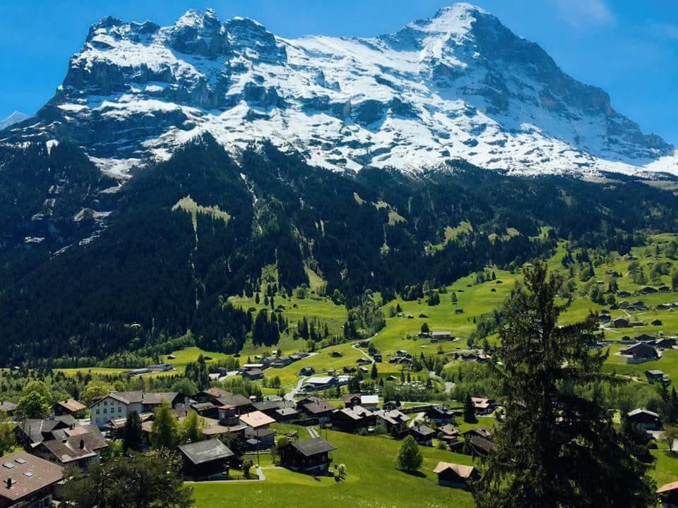 Eiger View * Grindelwald