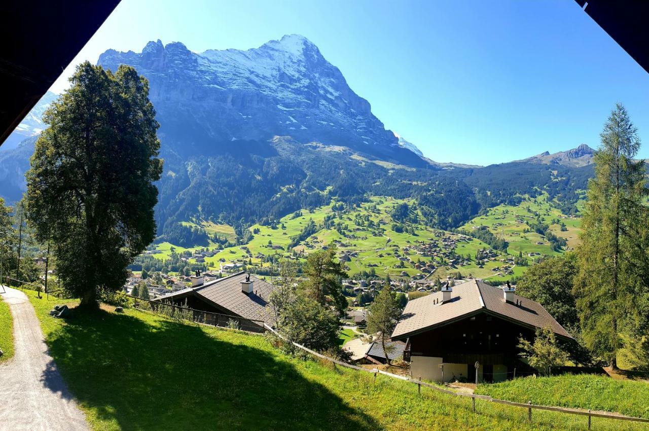 Homestay Eiger View