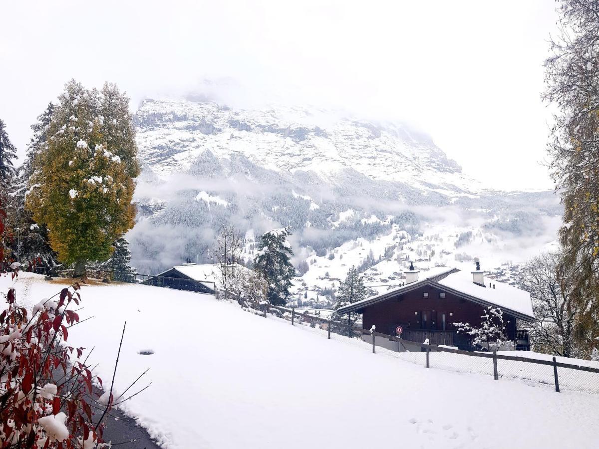 Eiger View * Grindelwald