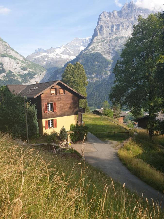 Eiger View *