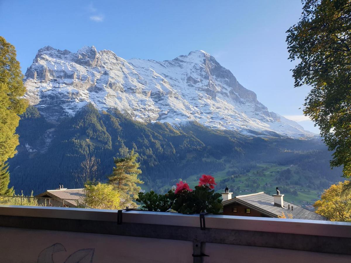 Eiger View * Grindelwald