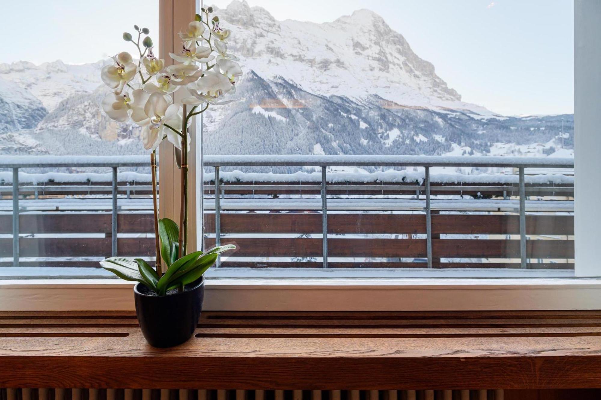 Bernerhof Hotel Grindelwald