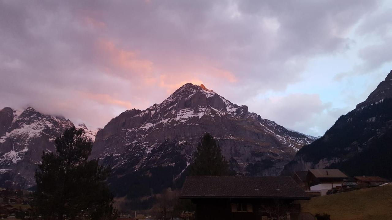 Lilalama * Grindelwald