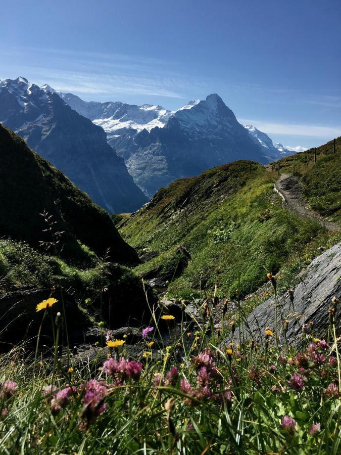 Silberhorn