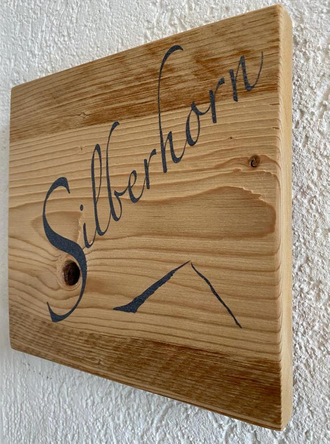 Silberhorn Grindelwald